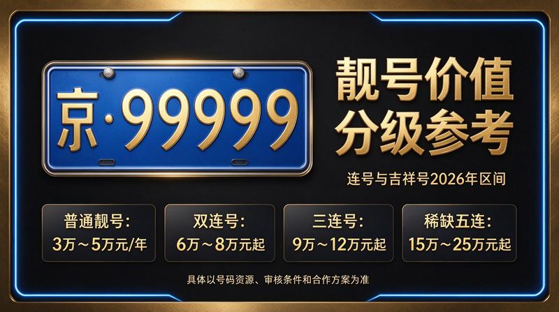 2026年北京车指标市场分析全景图